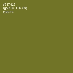 #717427 - Crete Color Image