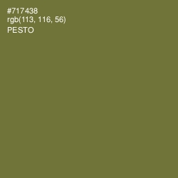 #717438 - Pesto Color Image