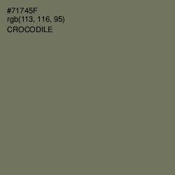 #71745F - Crocodile Color Image