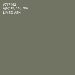 #717462 - Limed Ash Color Image