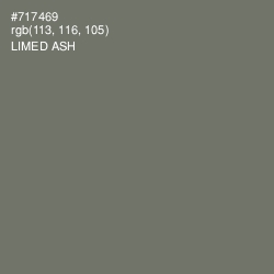 #717469 - Limed Ash Color Image