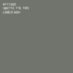 #71746D - Limed Ash Color Image