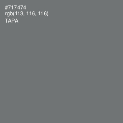 #717474 - Tapa Color Image