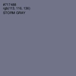 #717488 - Storm Gray Color Image