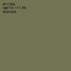 #717554 - Kokoda Color Image