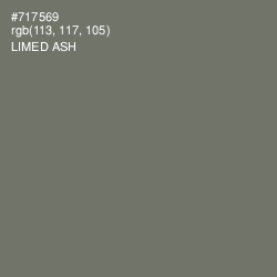 #717569 - Limed Ash Color Image