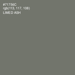 #71756C - Limed Ash Color Image