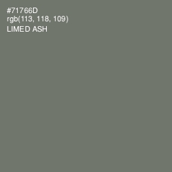 #71766D - Limed Ash Color Image
