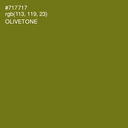 #717717 - Olivetone Color Image