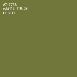 #71773B - Pesto Color Image