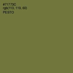 #71773C - Pesto Color Image