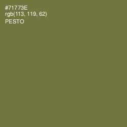 #71773E - Pesto Color Image