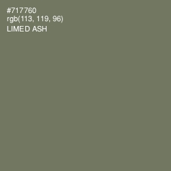 #717760 - Limed Ash Color Image