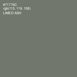 #71776C - Limed Ash Color Image