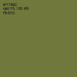 #71783C - Pesto Color Image