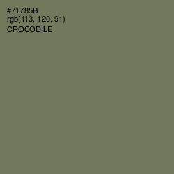 #71785B - Crocodile Color Image