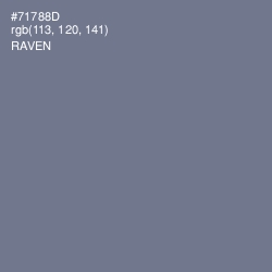 #71788D - Raven Color Image