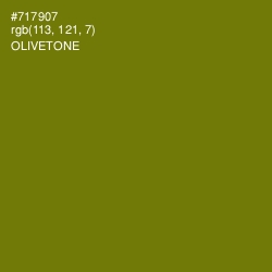 #717907 - Olivetone Color Image