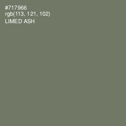 #717966 - Limed Ash Color Image