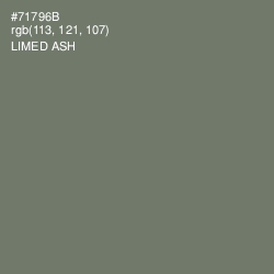 #71796B - Limed Ash Color Image