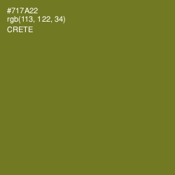 #717A22 - Crete Color Image