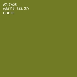 #717A25 - Crete Color Image