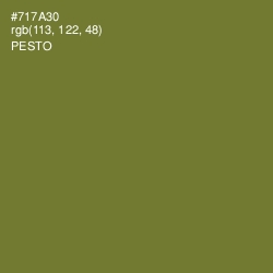 #717A30 - Pesto Color Image