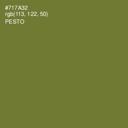 #717A32 - Pesto Color Image