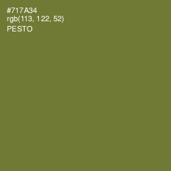 #717A34 - Pesto Color Image