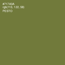 #717A3A - Pesto Color Image