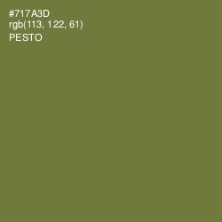 #717A3D - Pesto Color Image