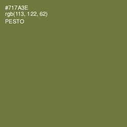 #717A3E - Pesto Color Image