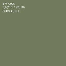#717A5A - Crocodile Color Image