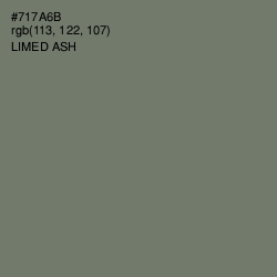 #717A6B - Limed Ash Color Image