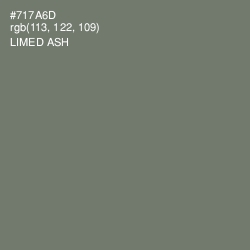 #717A6D - Limed Ash Color Image