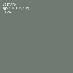 #717A70 - Tapa Color Image