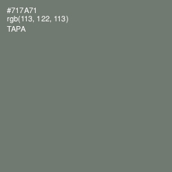 #717A71 - Tapa Color Image