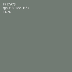 #717A73 - Tapa Color Image