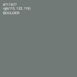 #717A77 - Boulder Color Image