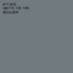 #717A7E - Boulder Color Image