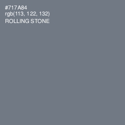 #717A84 - Rolling Stone Color Image