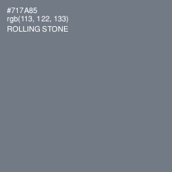 #717A85 - Rolling Stone Color Image