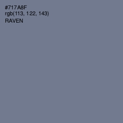 #717A8F - Raven Color Image