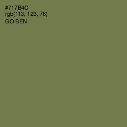 #717B4C - Go Ben Color Image