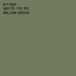 #717B5F - Willow Grove Color Image