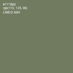 #717B60 - Limed Ash Color Image