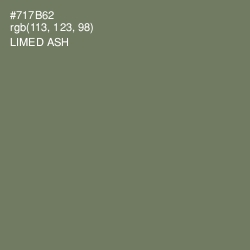 #717B62 - Limed Ash Color Image