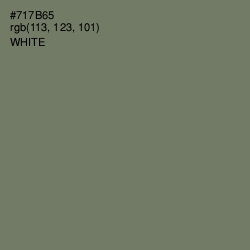 #717B65 - Limed Ash Color Image