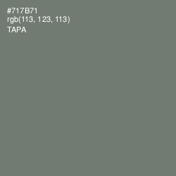 #717B71 - Tapa Color Image