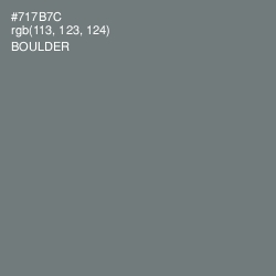 #717B7C - Boulder Color Image